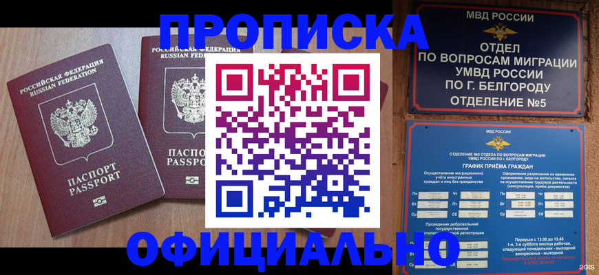 найти адрес прописки в Бикине